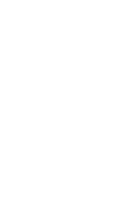 logo_amnistia